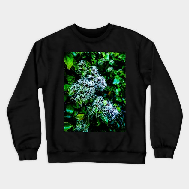 The Entwined Clematis Crewneck Sweatshirt by PictureNZ